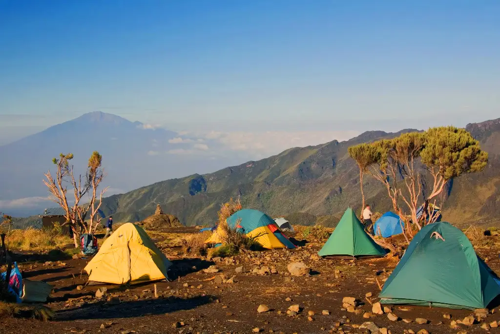 8-day-lemosho-route-kilimanjaro-climb3