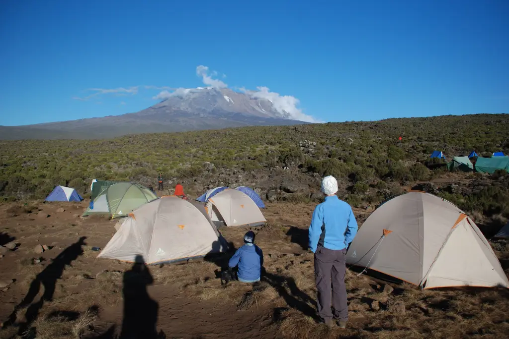 8-day-lemosho-route-kilimanjaro-climb4