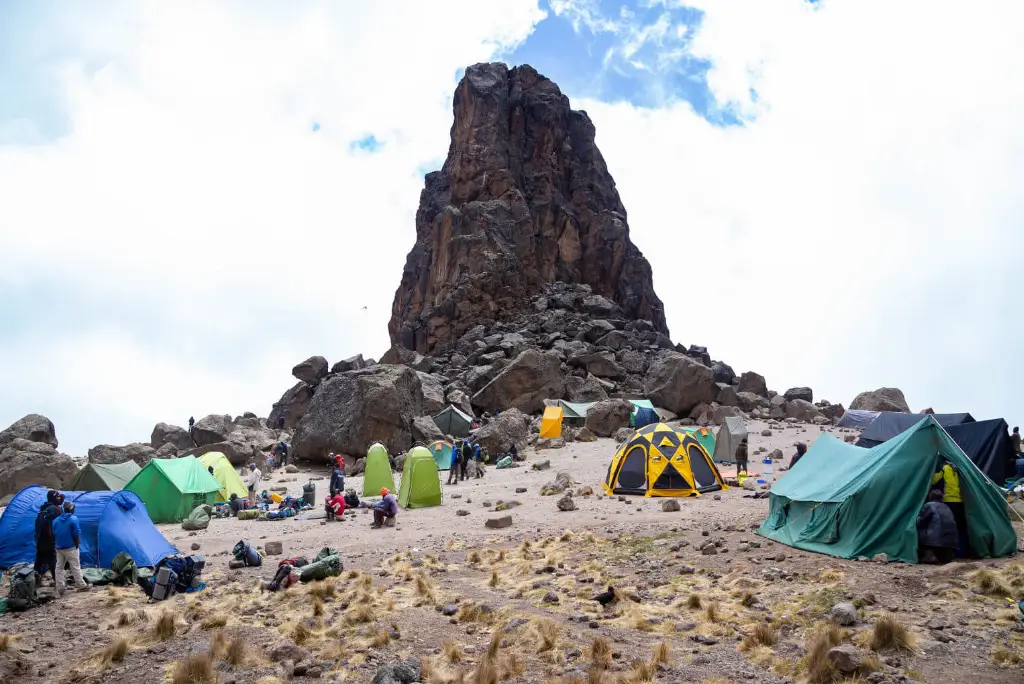 8-day-lemosho-route-kilimanjaro-climb5