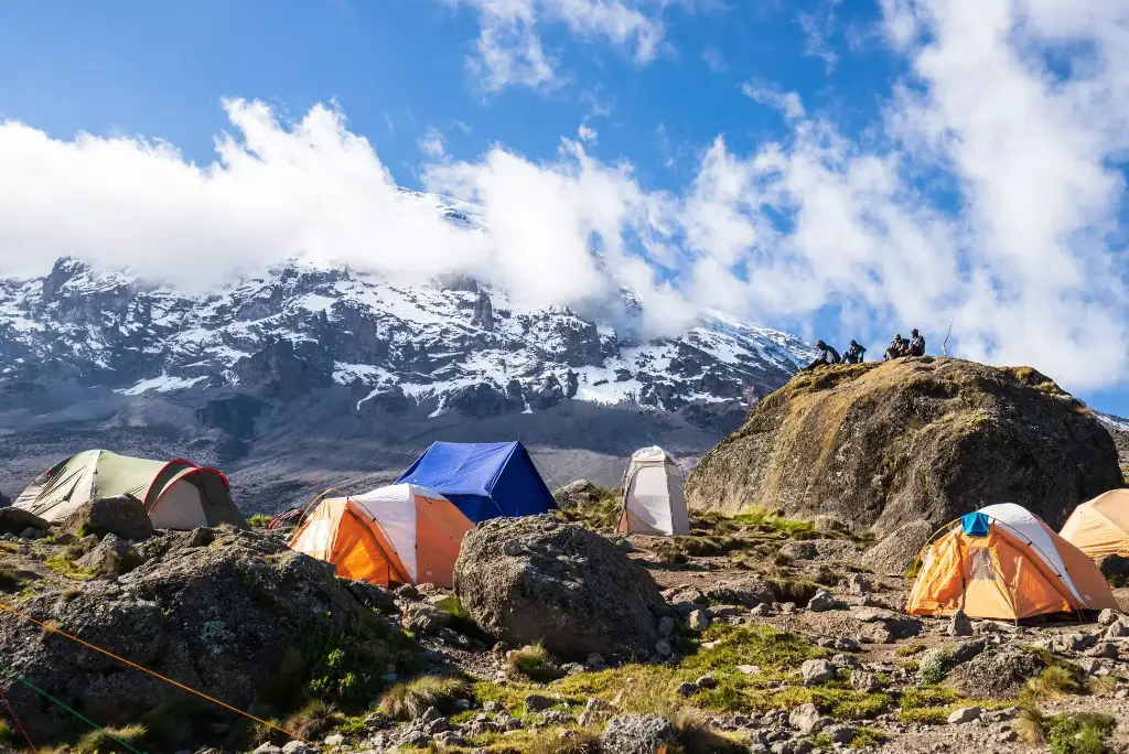 8-day-lemosho-route-kilimanjaro-climb7