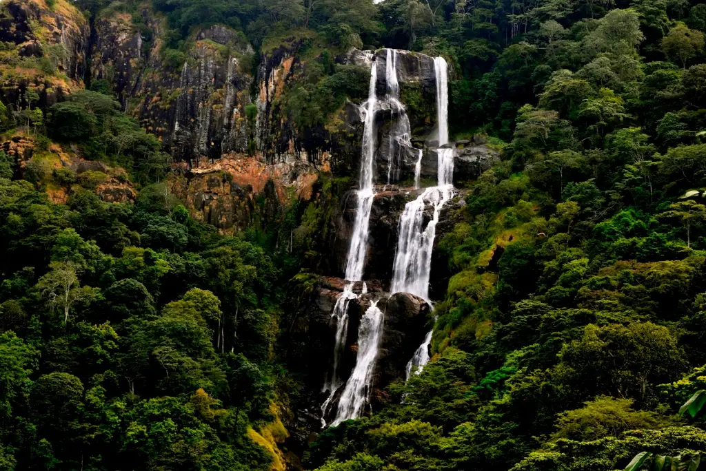9-day-mikumi-udzungwa-zanzibar-itinerary3