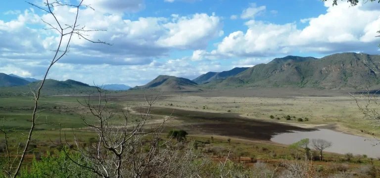 Mkomazi National Park