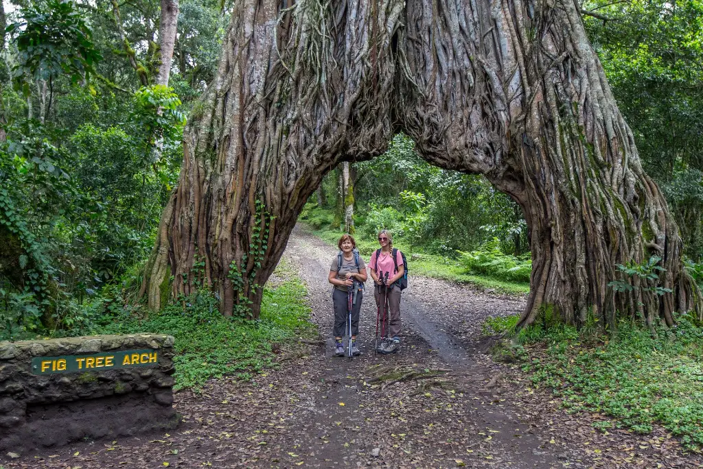 arusha-national-park-day-trip1