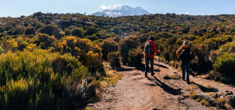 Kilimanjaro Travel Guide