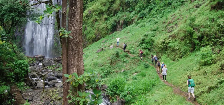 1  Day  Materuni Waterfalls & Village Day Trip