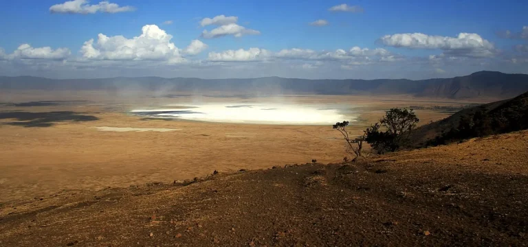1  Day  Ngorongoro Crater Day Trip