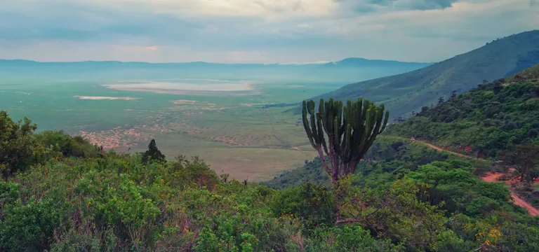 5 Days  Ngorongoro Highlands