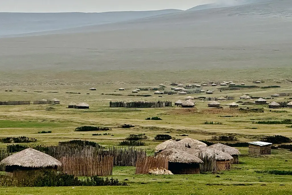 ngorongoro-highland2