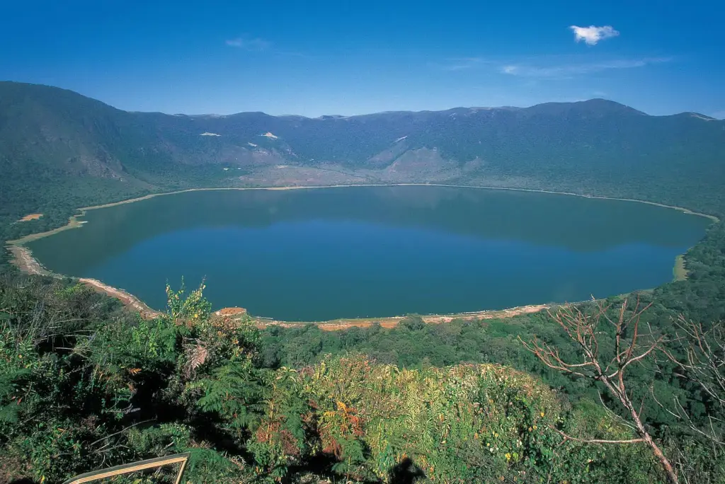 ngorongoro-highland3