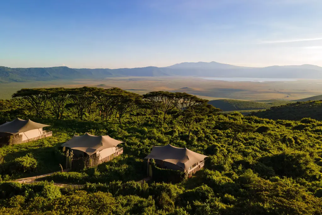 ngorongoro-highland4