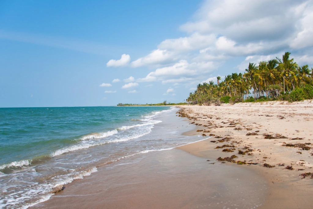 Pangani Beach Attractions