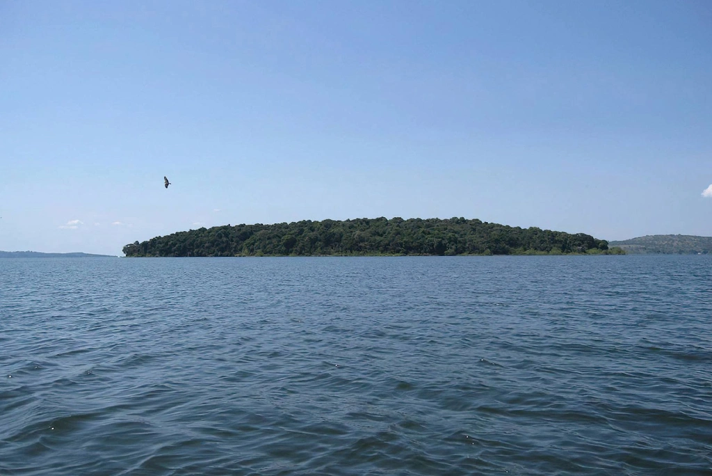 Lake Victoria with Forest