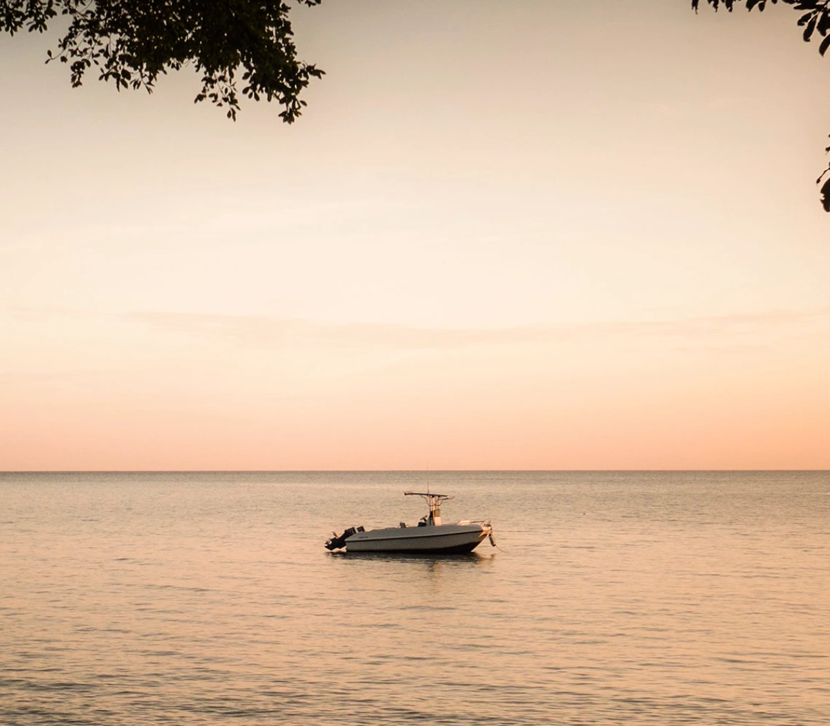 Boat Safari Trip