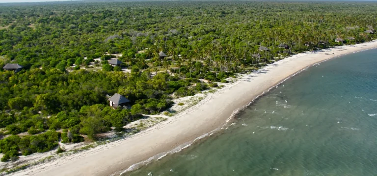 1  Day  Saadani National Park Day Trip