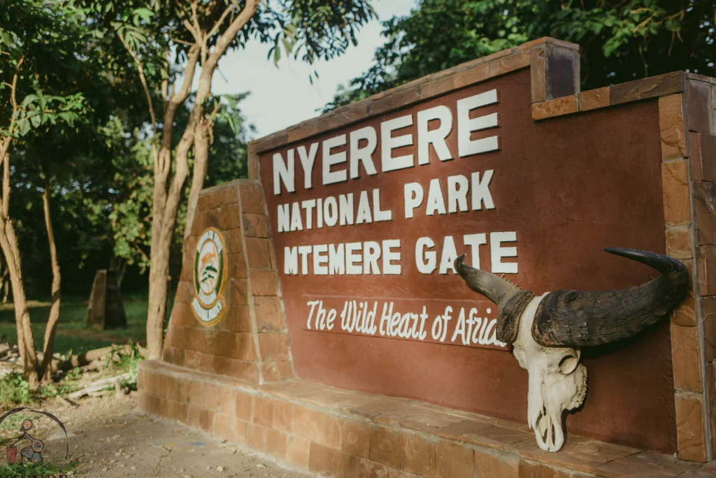 selous-day-trip-fly-in-safari-2