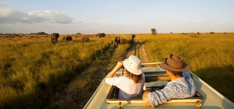 Adventure Safari