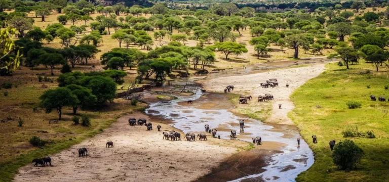 Tanzania Destinations