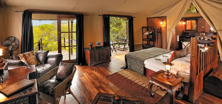 Lodge Safari