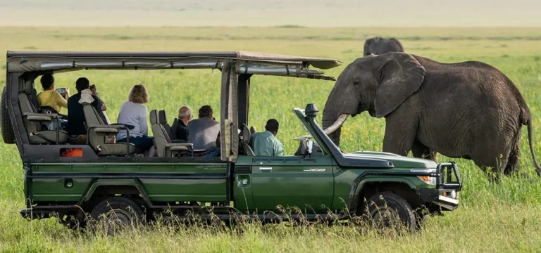 Tanzania Safari Cost