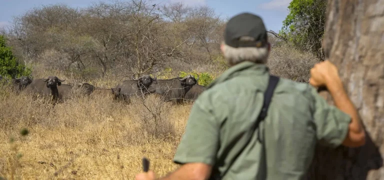 Walking Safari