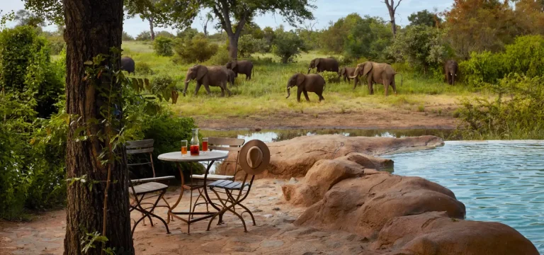 Wami Mbiki Game Reserve