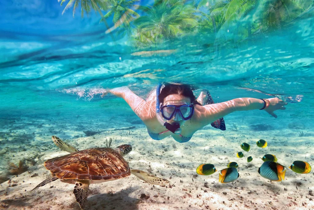 10-days-rubondo-island-national-park-zanzibar-luxury-flying-safari7