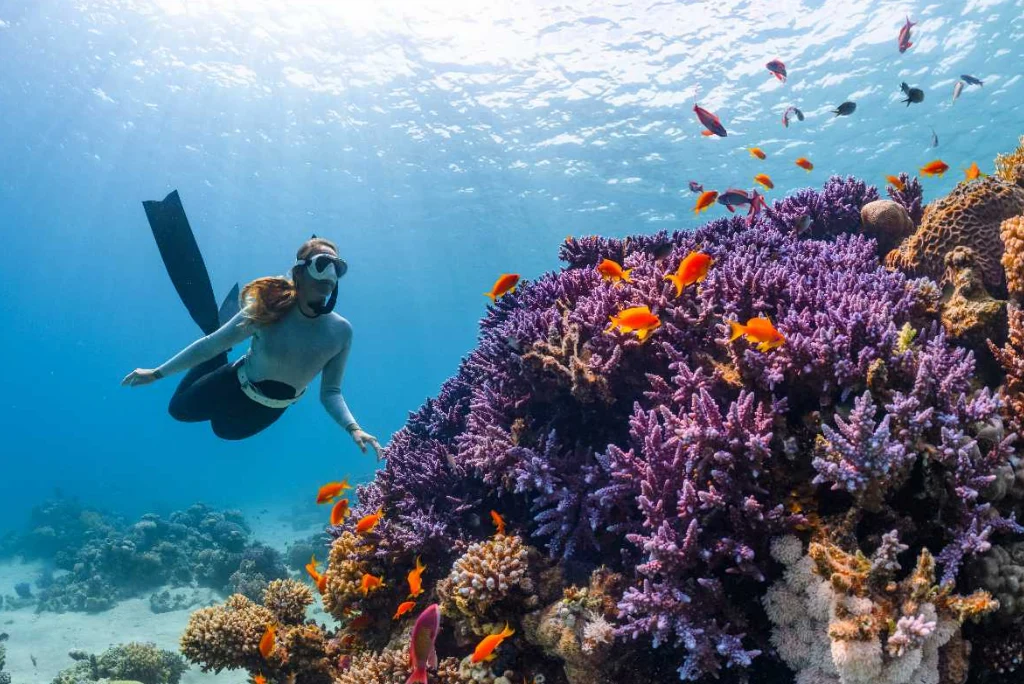 10-days-rubondo-island-national-park-zanzibar-luxury-flying-safari9