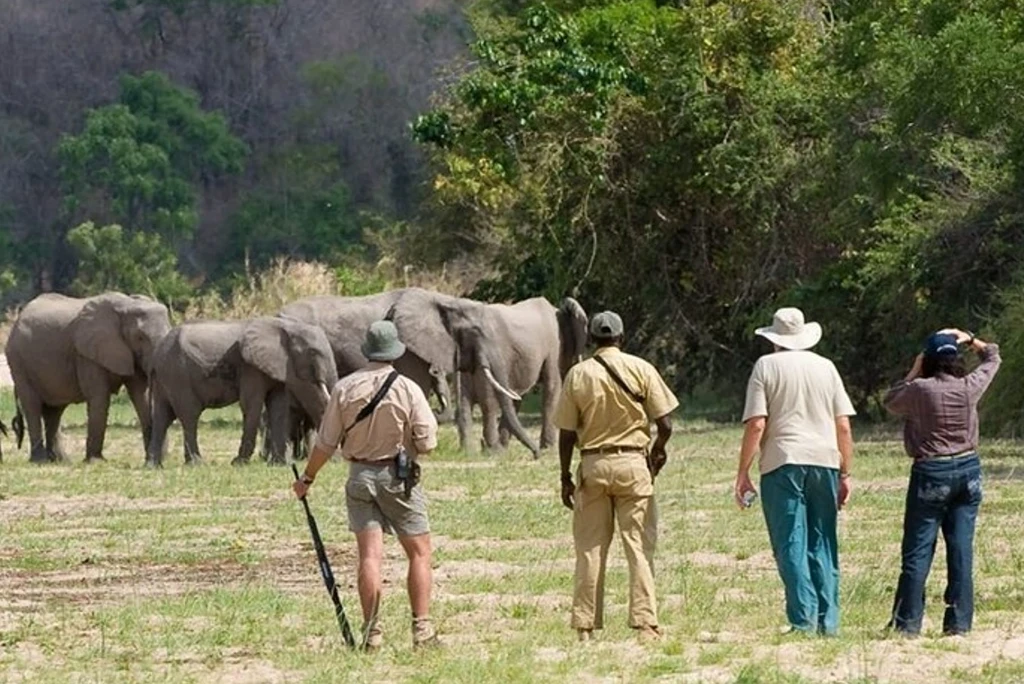 12-days-selous-ruaha-katavi-flying-safari4