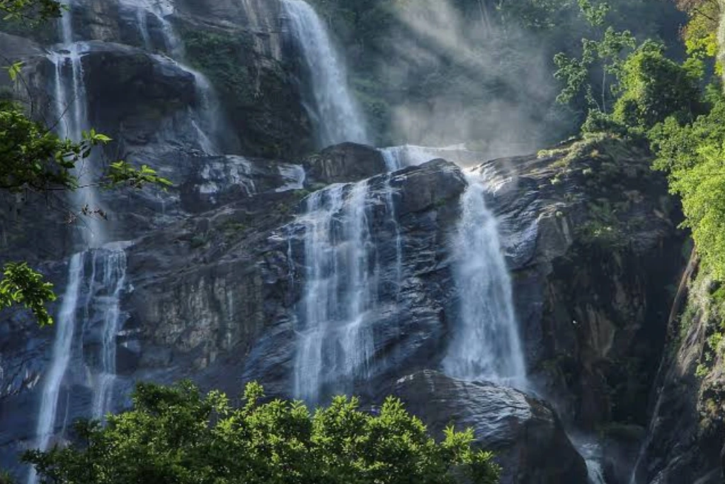 5-days-gombe-national-park-flying-safari3 (1)