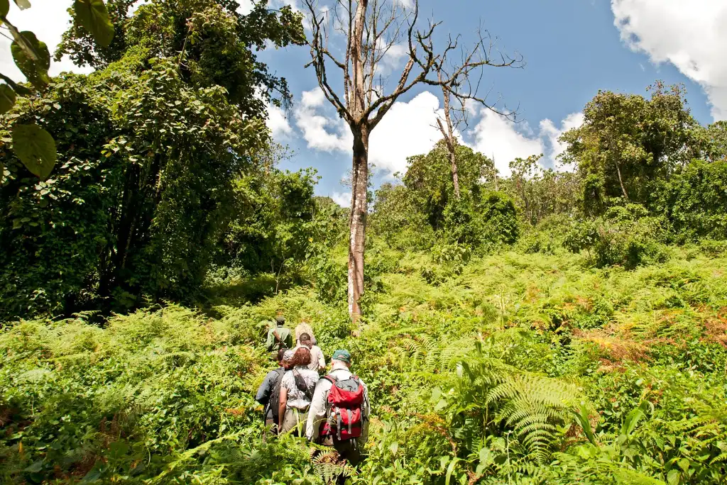 5-days-mahale-national-park-flying-safari3