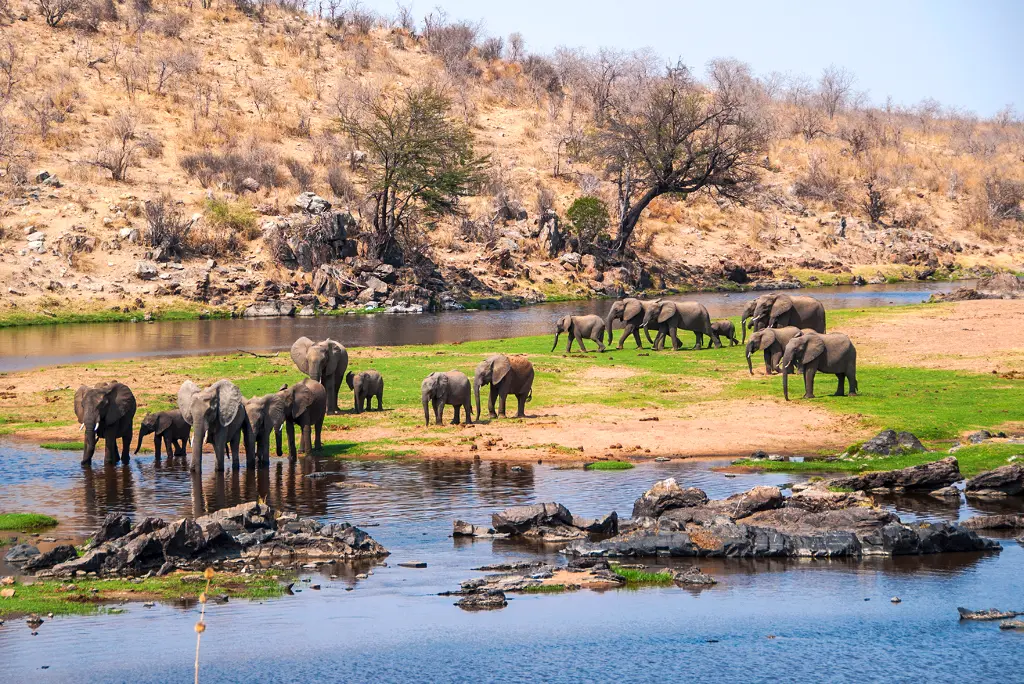 5-days-ruaha-national-park-flying-safari5