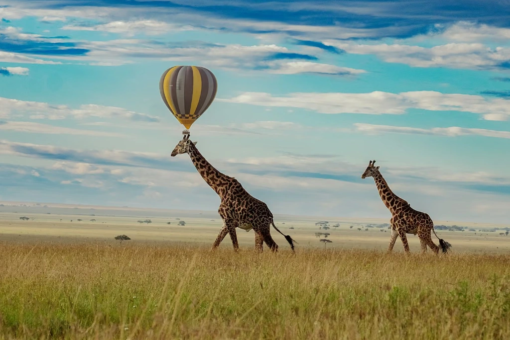 8-days-nyerere-ruaha-national-park-flying-safari7