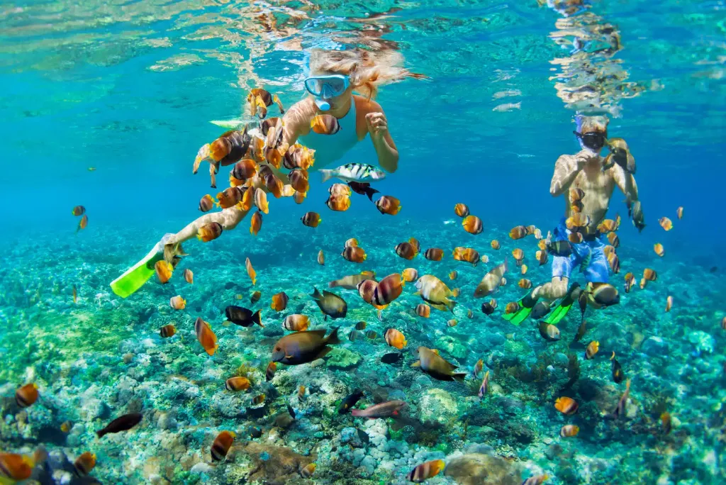 Zanzibar Attractions