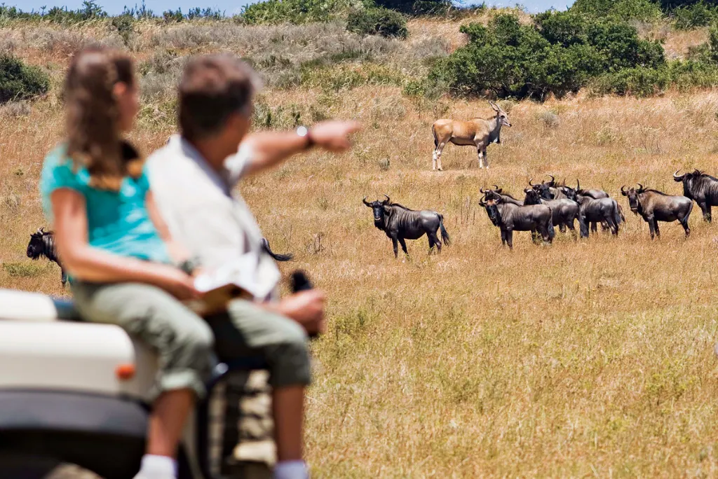 Tanzania Family Safari Attractions