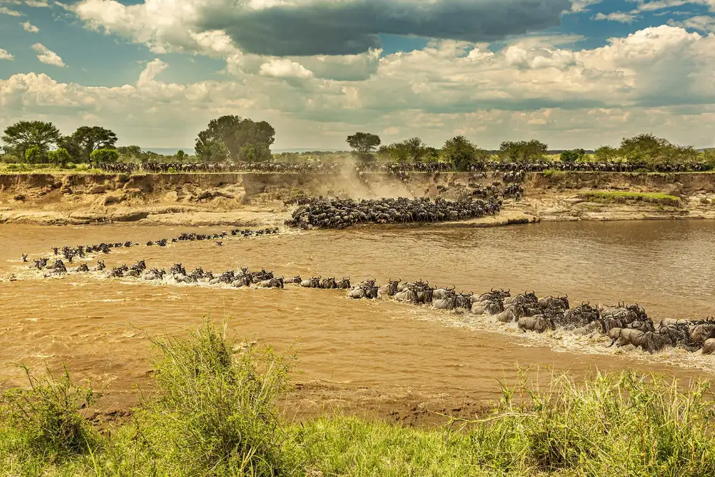 Tanzania Migration Safari Attractions