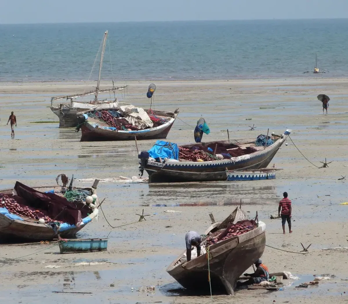 Kilwa Kivinje Walk12