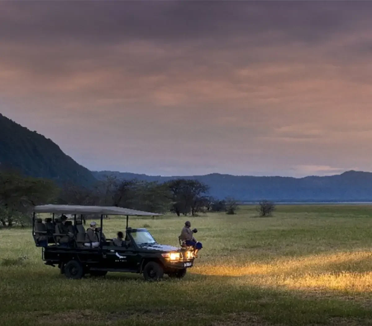 Night Game Drive12