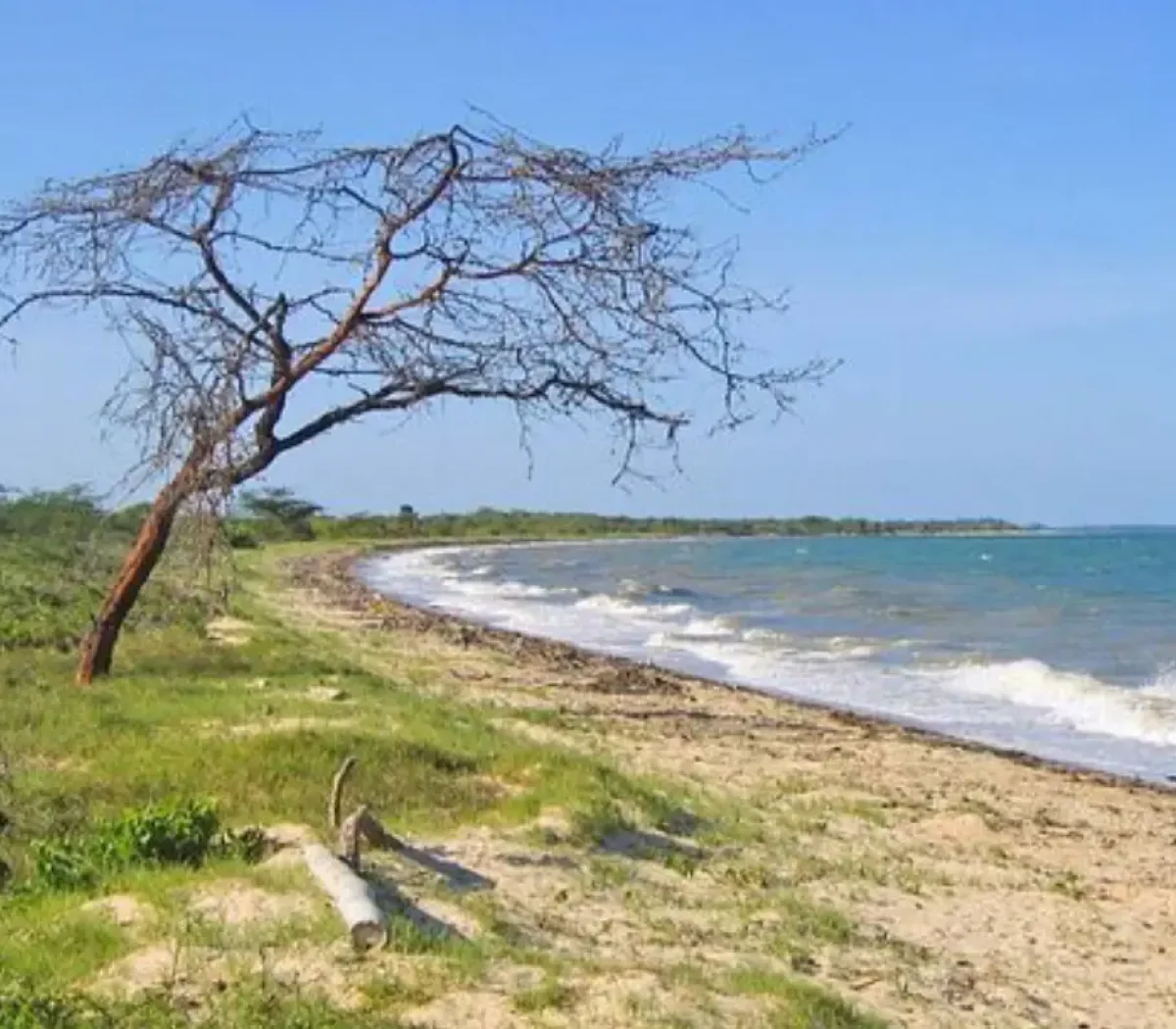 Saadani National Park6