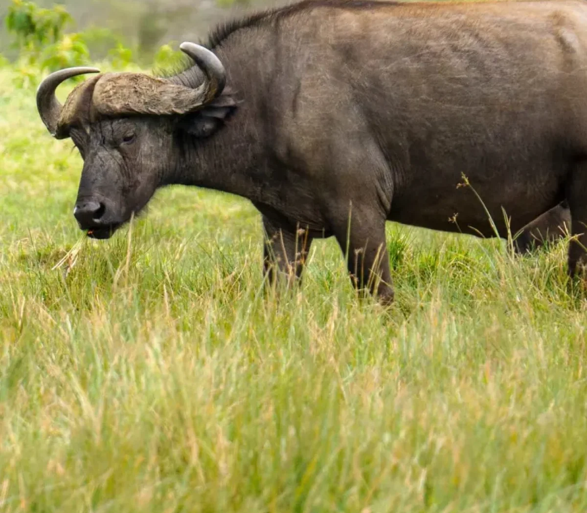 arusha-national-park-5