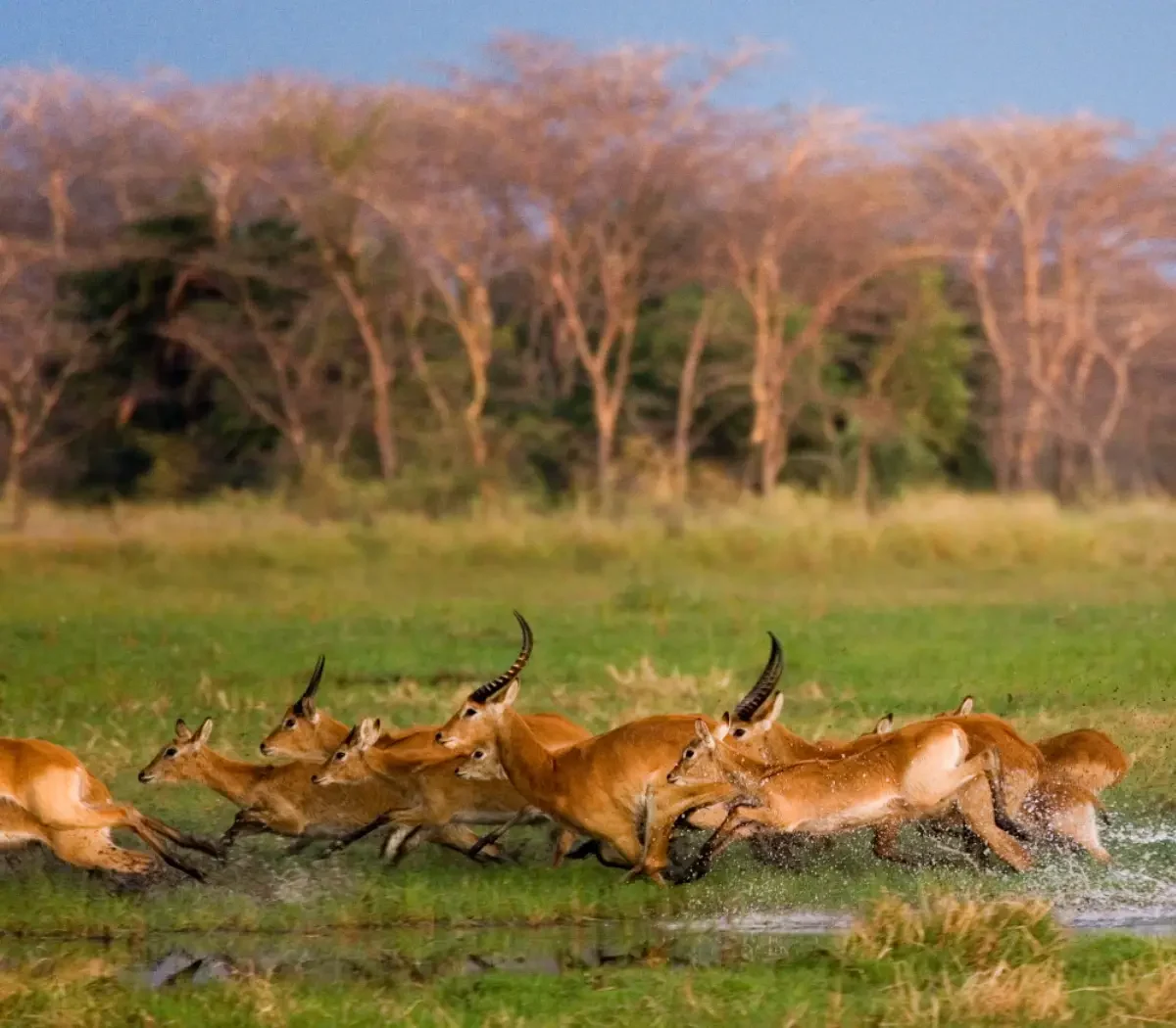 ibanda-kyerwa-national-park11