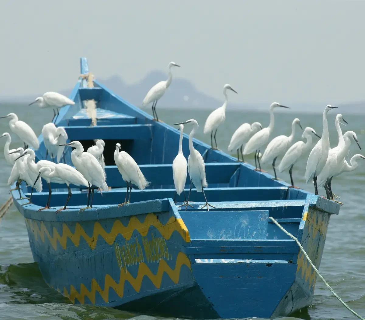 lake-tanganyika7