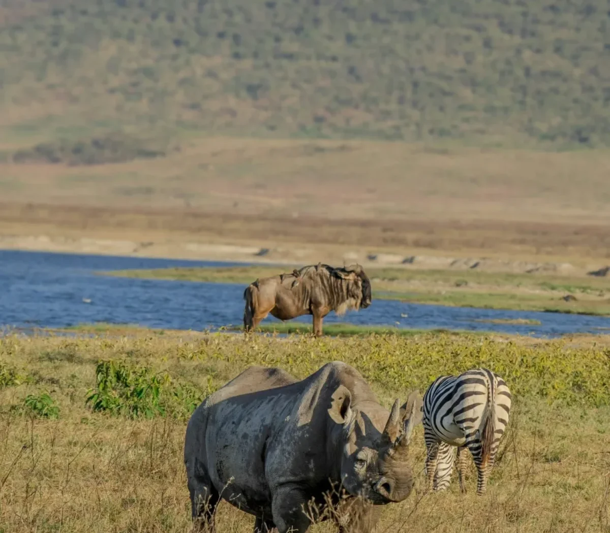ngorongoro-crater-14