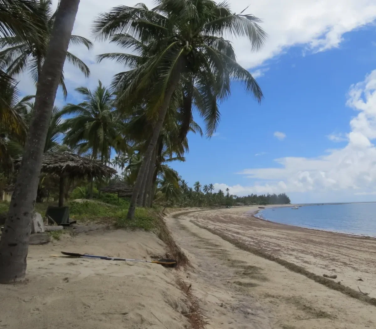 Pangani Beach Attractions