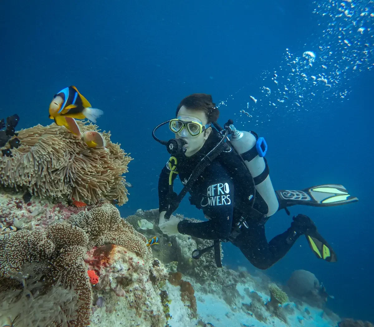 pemba-island4
