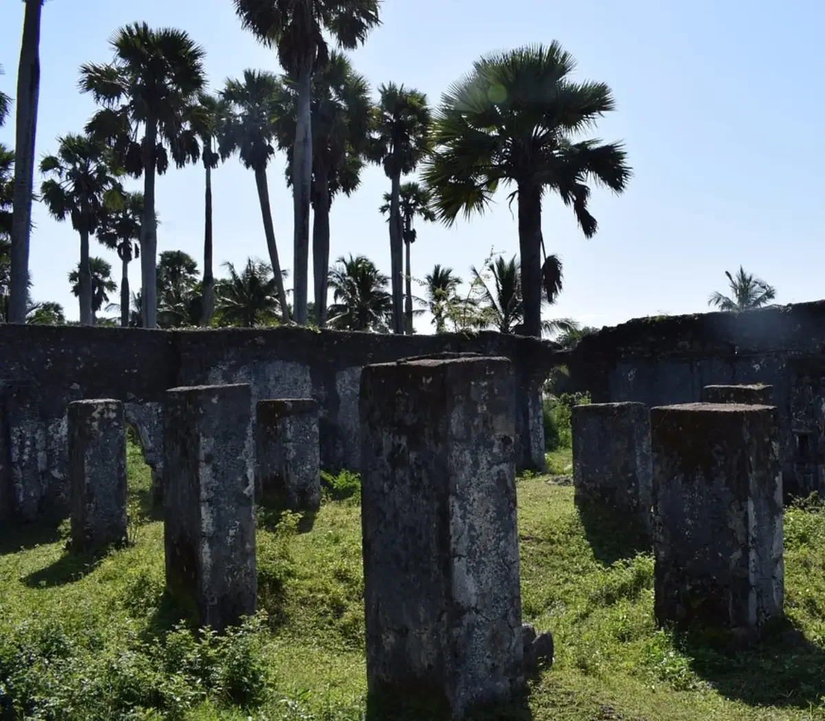 pemba-island7