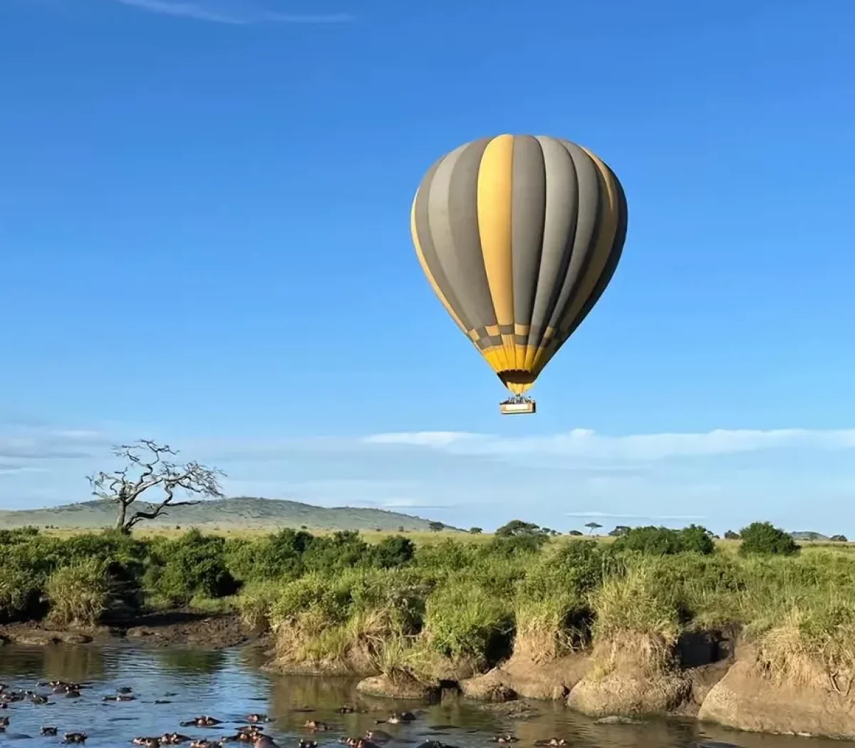 tarangire-national-park-1