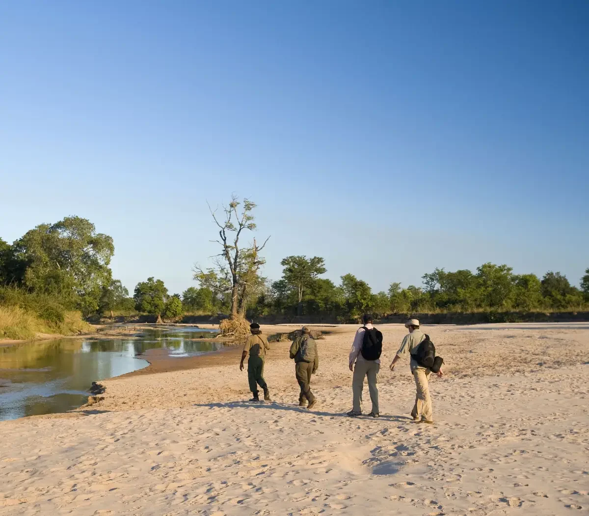 ugalla-river-national-park6