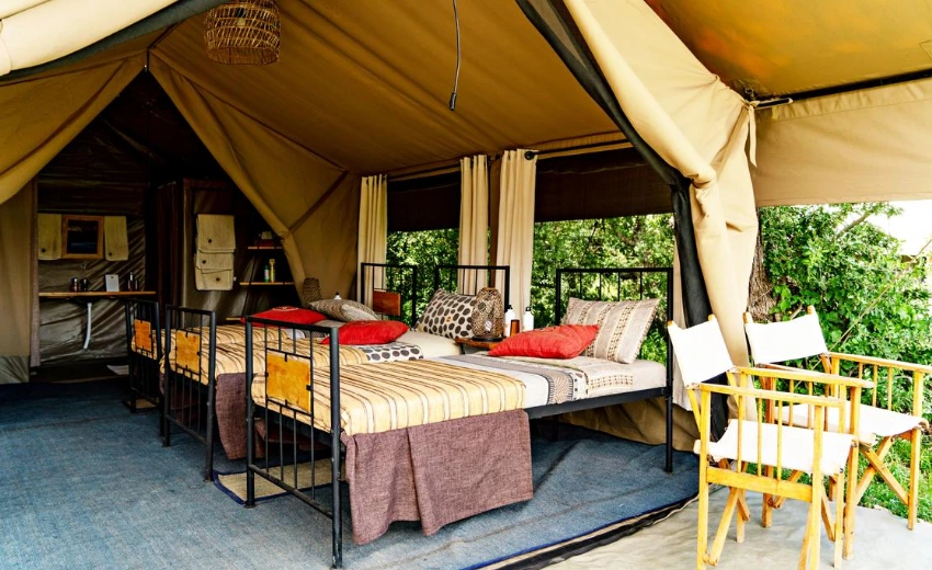 Lifetime Safaris