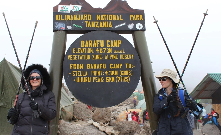 Lifetime Safaris