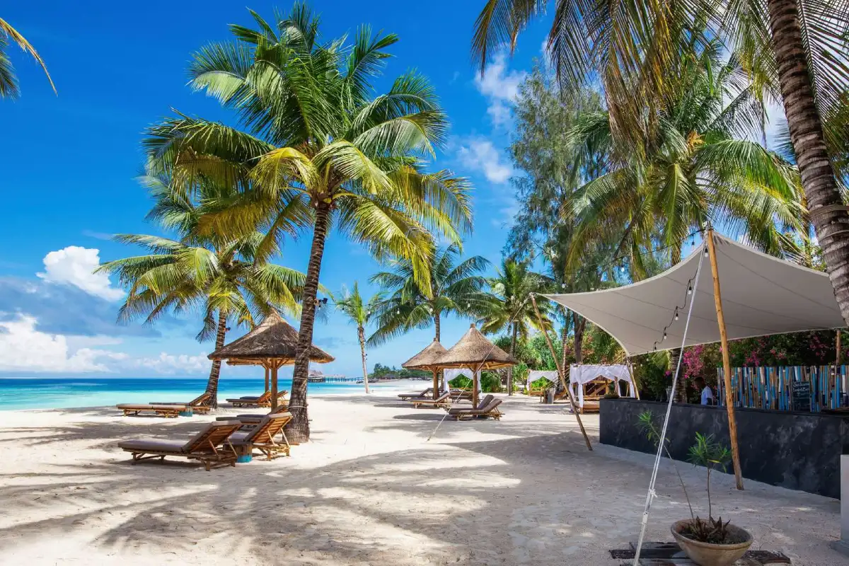 11 Days Bush to Beach Safari